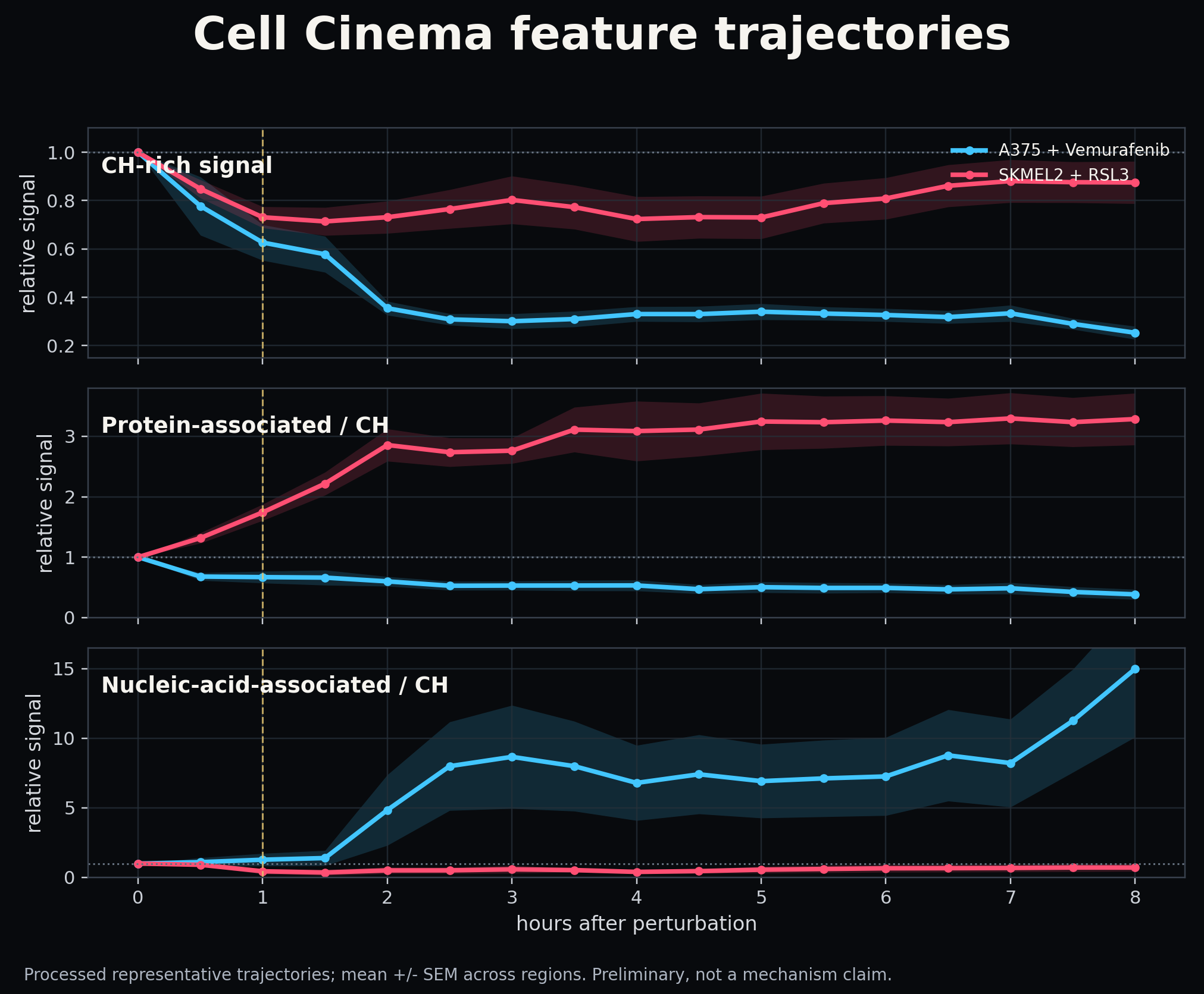 Three chemical-feature trajectories over eight hours. The CH-rich signal falls early in both examples, then rises in SK-MEL-2 with RSL3 while staying lower in A375 with vemurafenib. Protein-associated signal relative to CH follows opposite directions.